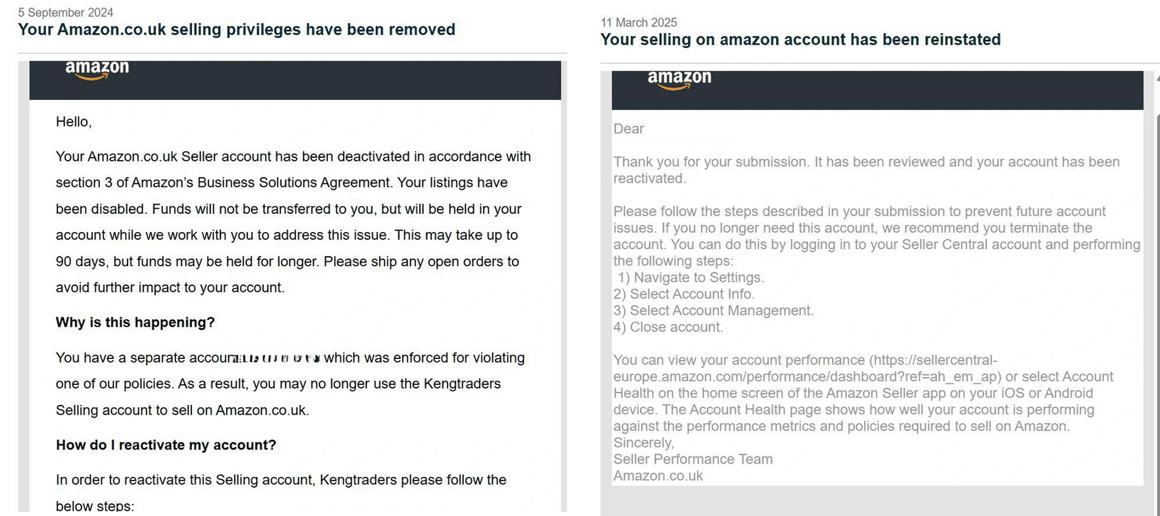 Amazon Seller Reinstatement Success Story 1