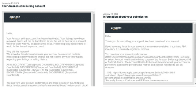 Amazon Reinstatement Success 11