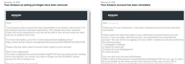 Amazon Reinstatement Success 12