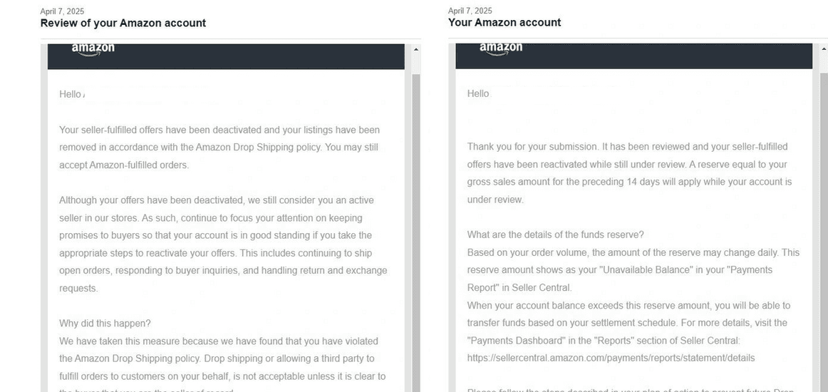Amazon Seller Reinstatement Success Story 14