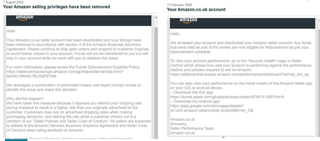 Amazon Reinstatement Success 15