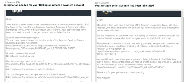 Amazon Reinstatement Success 16