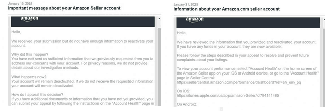 Amazon Reinstatement Success 17