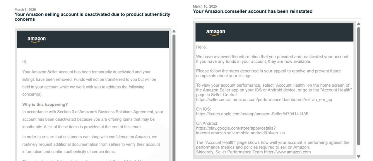 Amazon Seller Reinstatement Success Story 18