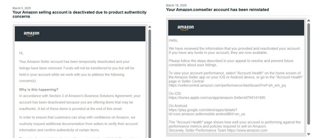 Amazon Reinstatement Success 18