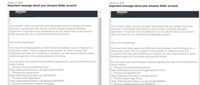 Amazon Reinstatement Success 2