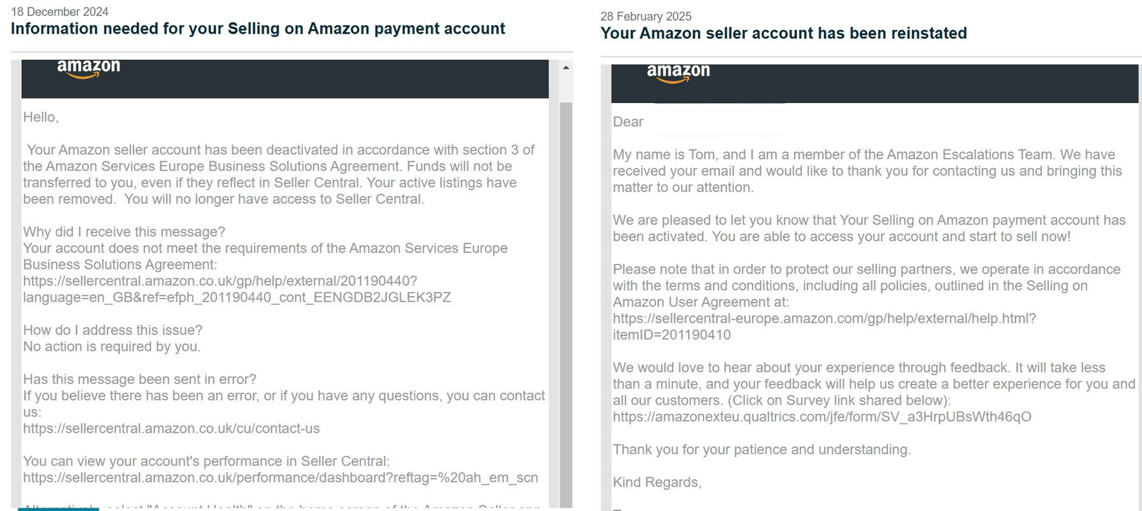 Amazon Seller Reinstatement Success Story 3