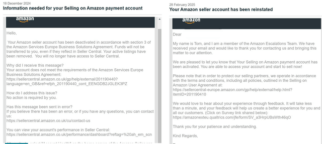 Amazon Reinstatement Success 3