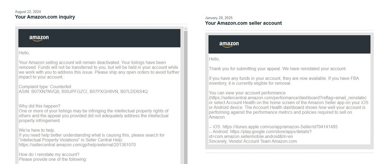 Amazon Seller Reinstatement Success Story 4