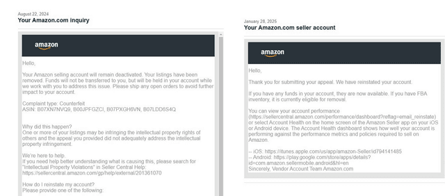 Amazon Reinstatement Success 4