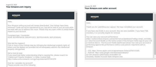 Amazon Reinstatement Success 7