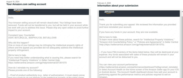 Amazon Reinstatement Success 8