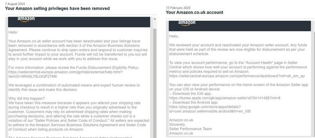 Amazon Reinstatement Success 9