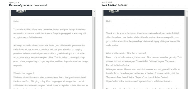 Amazon Reinstatement Success 14